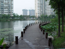 小区实景