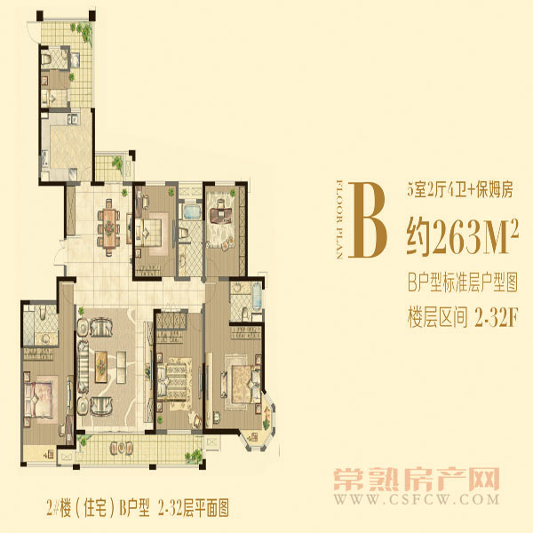 B户型