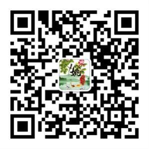 手机扫码加我为微信好友