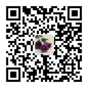 手机扫码加我为微信好友