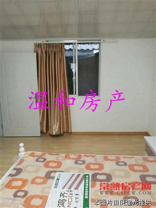 石梅市一中和平街55平使用面积80平三房精装修底楼130万