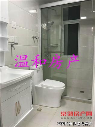 县东街全新欧式装修两房一厅一卫41平米65万