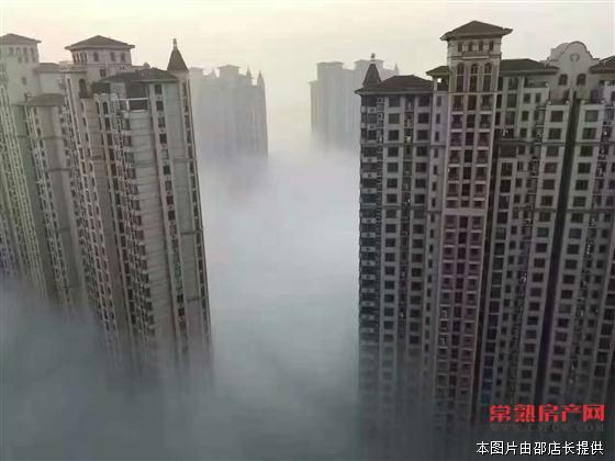 中南世纪城实用160平363万急卖！