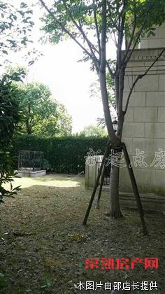 名流御园  经典独栋别墅好房源