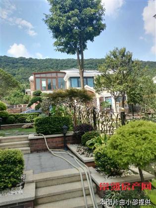南山花园  国美山庄经典独栋别墅