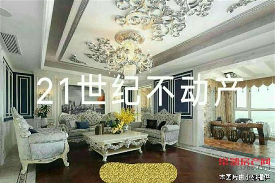 中南世纪城叠加别墅350平豪华装修980万全新未住