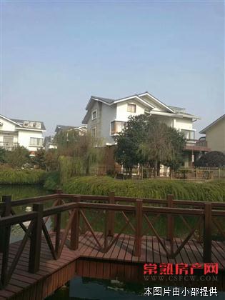 碧云山庄经典别墅，超大占地面积位置好