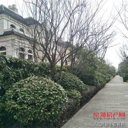 玫瑰园双拼 605平毛坯880万超带院子位置好（多套）