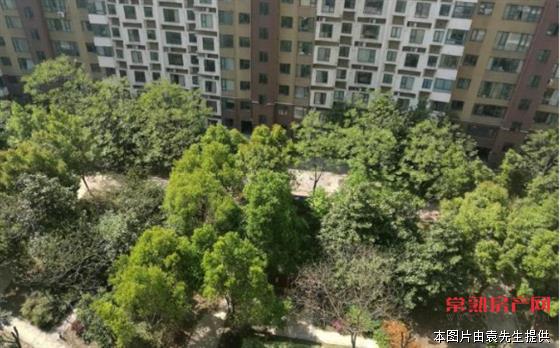 Y明日星洲精装4房2卫300万满2年