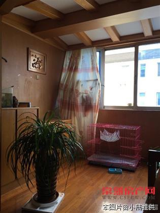 【枫泾二区】60平精装独用合用车库各一只