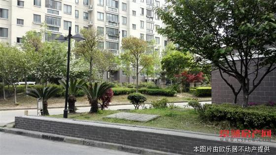 X【明日星城城欣园】精装4房，家具家电齐全