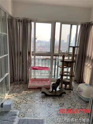 海上一品，141平，精装，368万，可上学