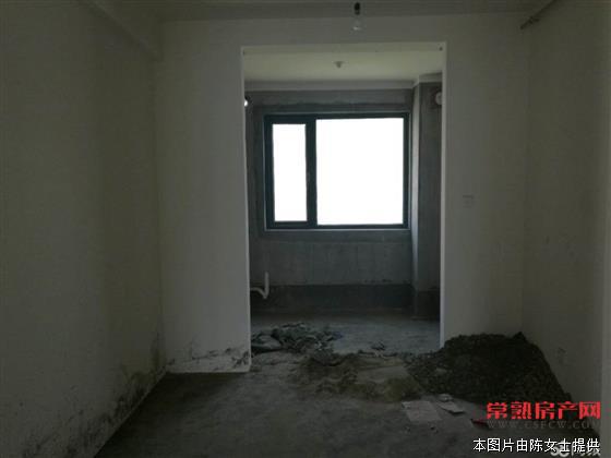 明日星洲，大平层4室，毛坯，满2年，车位+上学