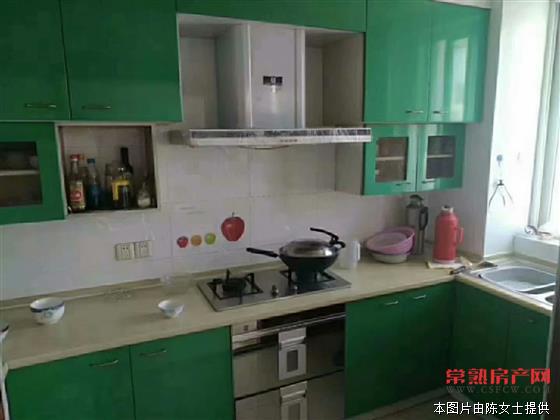 新加坡中心花园，能上学，有汽车库，正规3室2卫