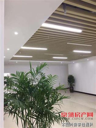 方塔街，1800平写字楼岀租。