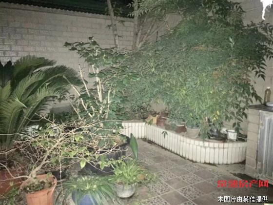 zjh申大苑 172平精装 四室两厅三卫 满两年有名额 618万！