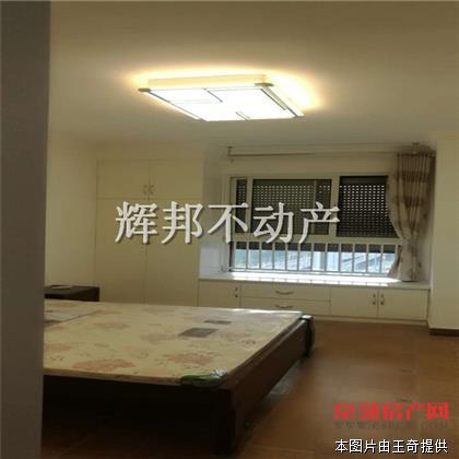 急售万达广场 精装一室 满二 有名额 观景楼层 采光好