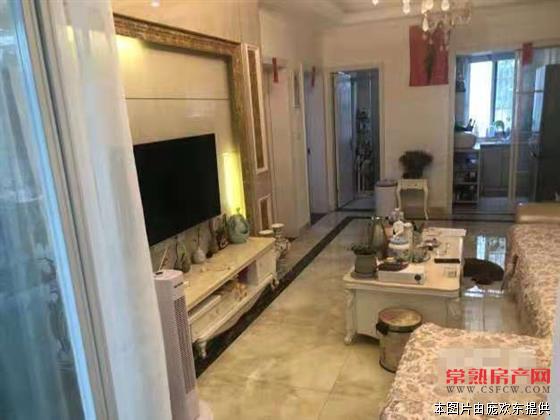 市中心，枫泾三区底楼带院子，豪华装修，