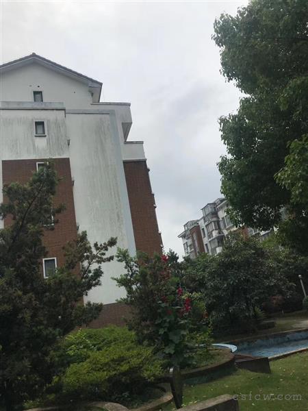 香格丽花园毛坯3/2/2朝南好房335万