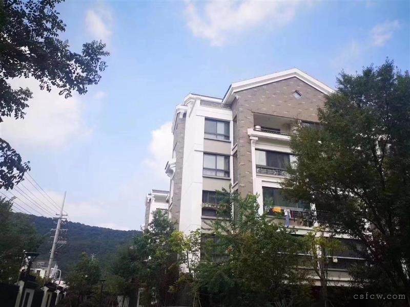 甸欣家园毛坯3/2/2朝南好房275万