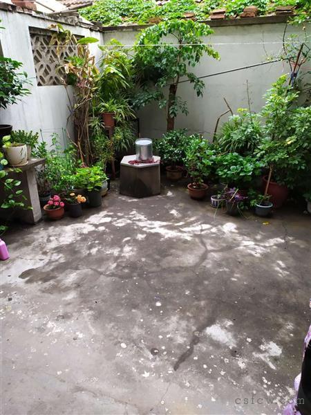 花园浜新村底楼带院子74平方82万