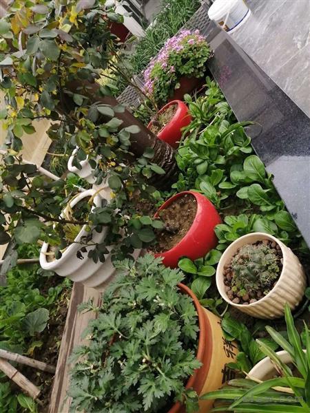 东湖京华精装5/2/3朝南好房338万