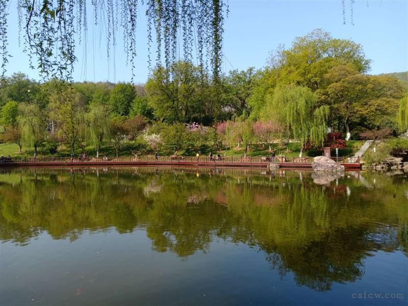 漕泾新一区5楼92平方车库14平方初三175万