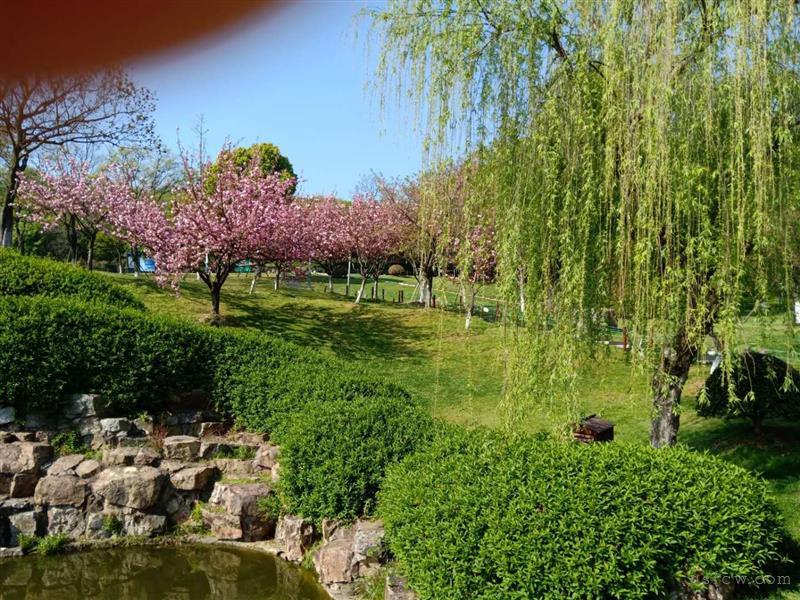 九里苑小区电梯房优惠出售