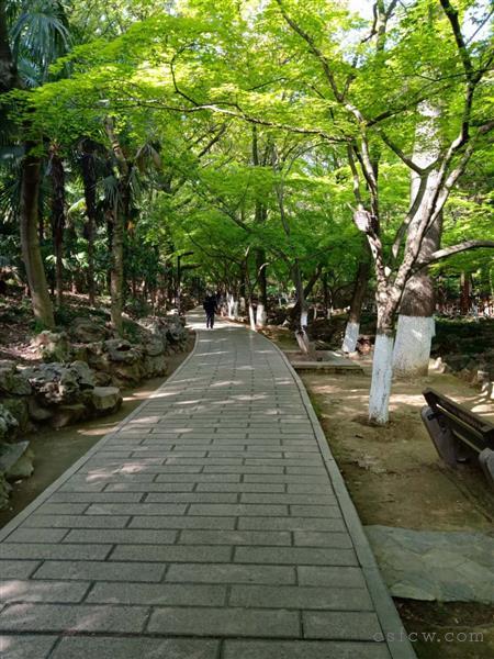 润欣花园27楼168平方装修设全276万