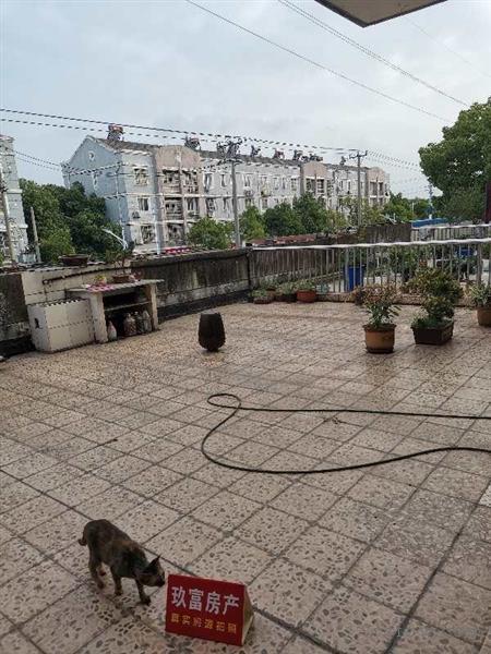 春晓苑精装5/2/4朝南好房280万