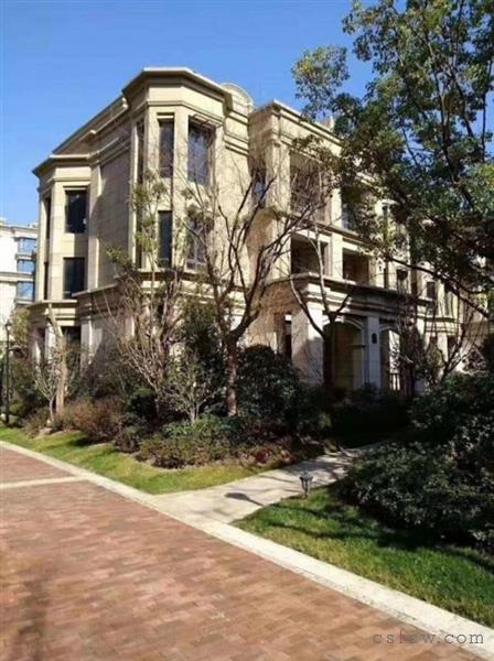 汇金广场叠加别墅19350平方518万毛坯满2年