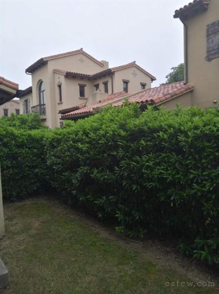 梅里美丽园独栋别墅273平方450万毛坯满2年多套