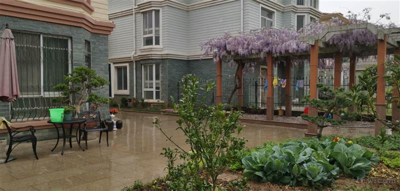 阳光花园独栋别墅292平方650万精装满2年位置好