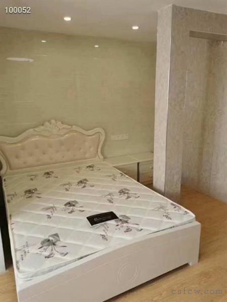 湖畔现代城清爽装单间700起租