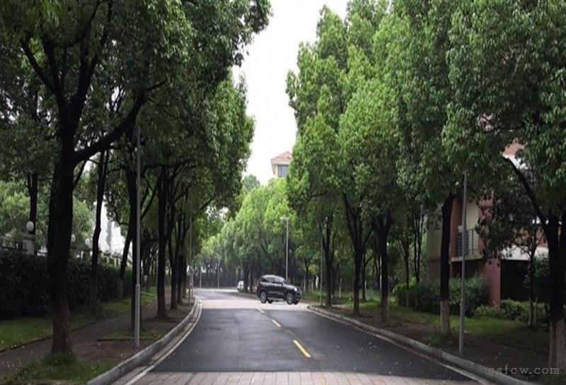 金鸡湖花园湖边顶复安静舒适景色优美欢迎随时看房