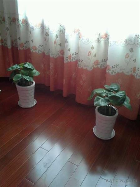 欲购海虞镇中心地段的房子看过来