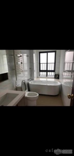 紫云名邸，精装，3室2卫，3000元/月