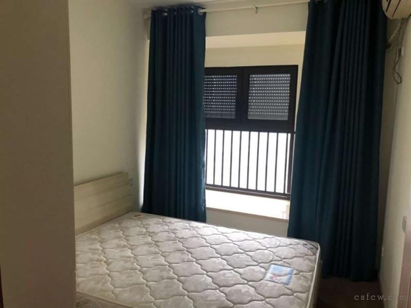 万科公望96平，精装，3房1卫，3000月租3室2厅1卫