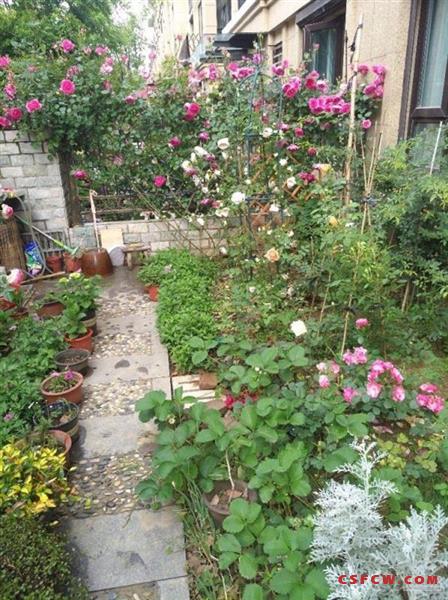 新城香溢璟庭底楼洋房88平米228万精装修产证满二3室2厅1卫