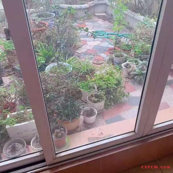 c新加坡花园南区，顶带阁，110平110平，可上学，245万，带独库