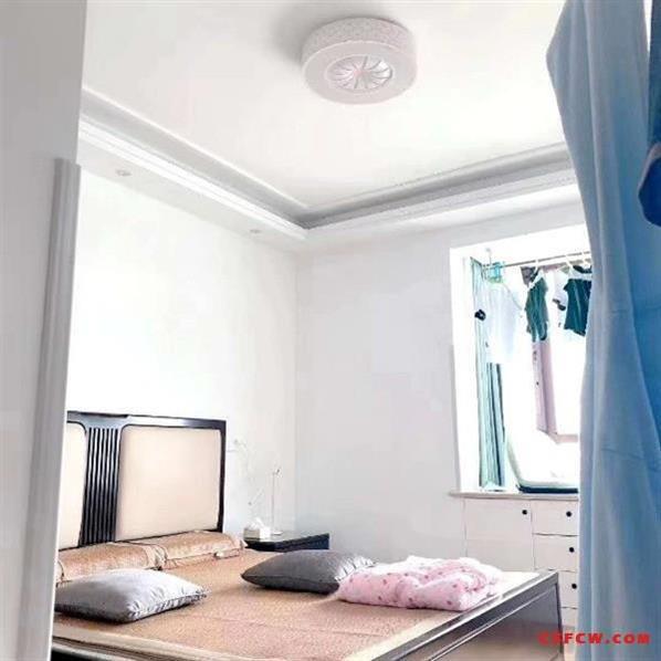 城北G204国道，08年造的的独栋，2层半，中装，5.5万年租