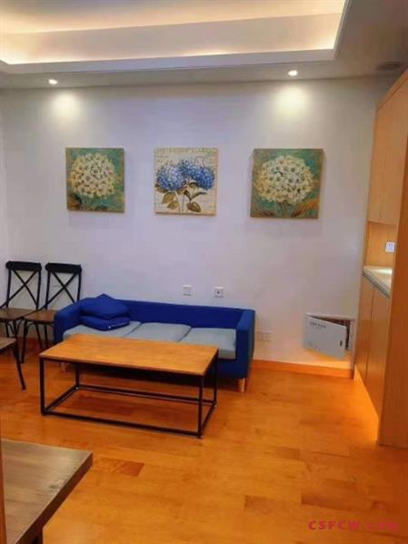 c中南锦苑65平精装全天采光，满两年有名额180万