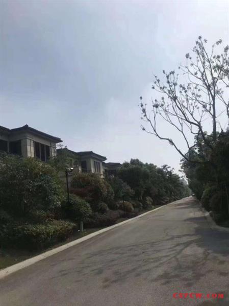 信步华庭，独栋480平，精装，满二年，1080万