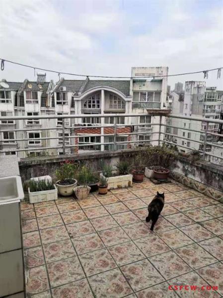 c锦荷佳苑一区，顶带阁，产证163平，带车库28平，191万，可上学，满2年