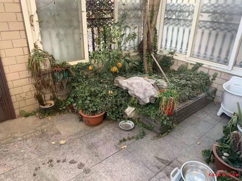 c山湖苑，独栋别墅，产证266平，三开间朝南，精装，满2年，1050万