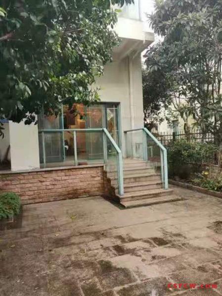 明日星城星海园，联排别墅，边套，260平有车库，院子70平，精装，630万