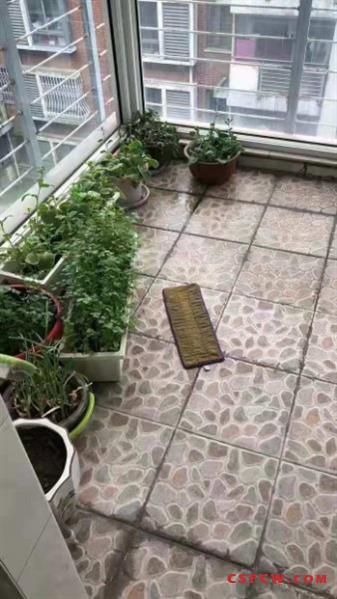 c香格丽花园138平，3室2卫精装，满2年有名额，318万