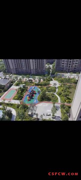 急售！碧桂园273平大平层全区最低价