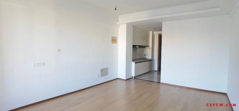 世茂商圈-凤凰城1室1厅全新精装修公寓，61.8万，交通便利配套齐全，有钥匙