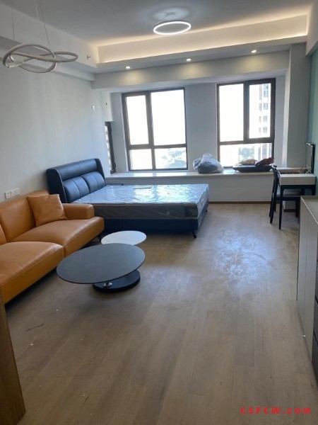 世茂商圈-凤凰城，精装公寓，全新首租，拎包入住，性价比高